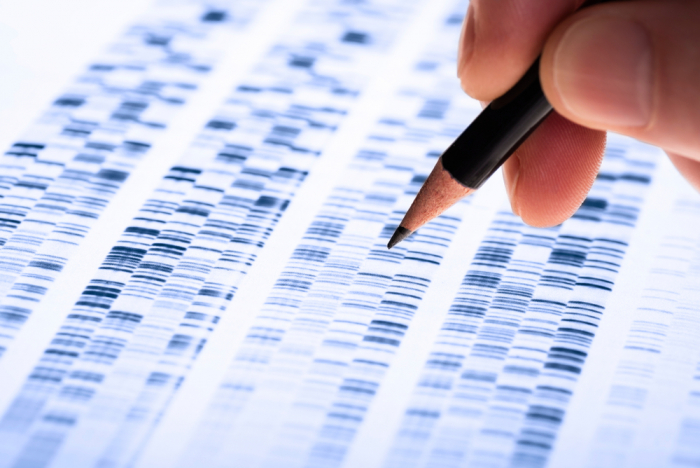 Patterns of DNA